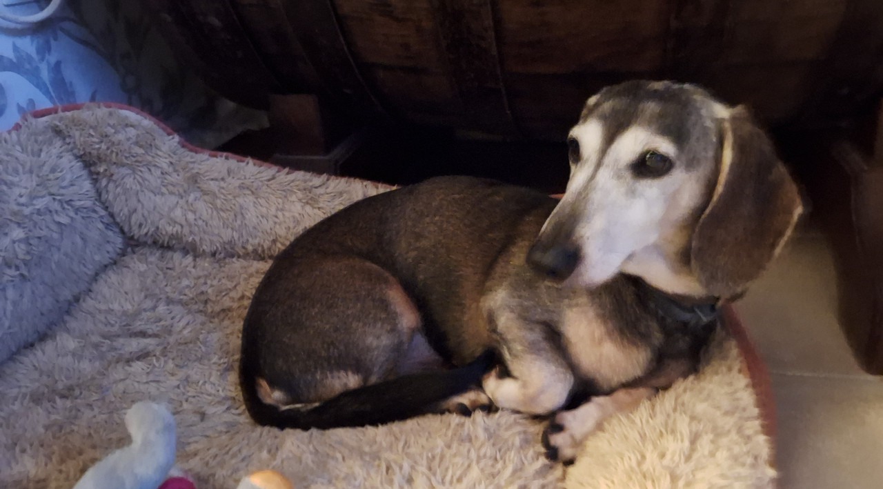 [Image: 20251124-193016.jpg]