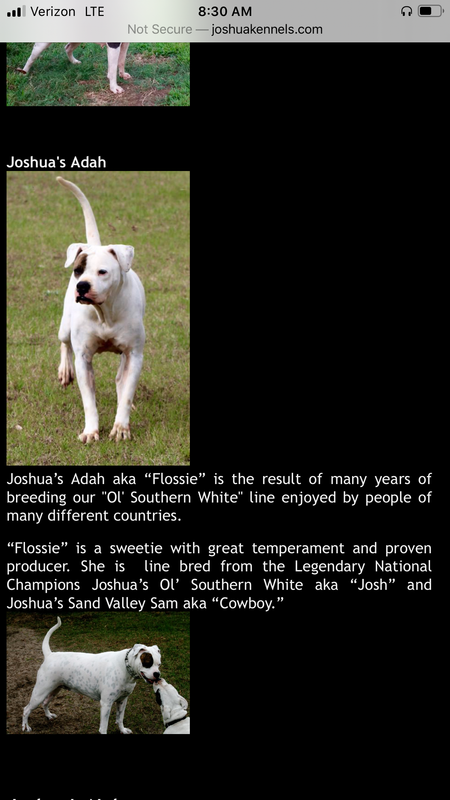 50C85F1C-21C3-4251-ABB8-81785B4291CF