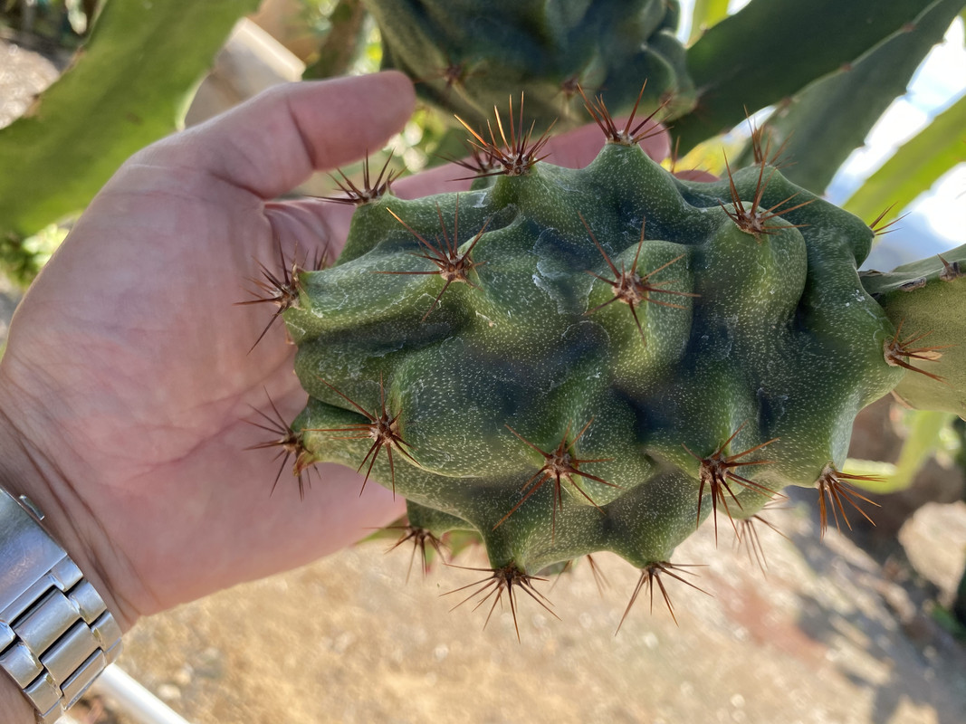 D658333A-8045-4DAD-B93C-94AD7F14AA32