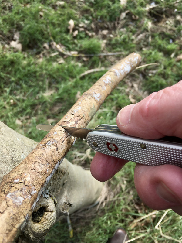 7711D4CE-FB2A-45DE-BBED-854BFFA2CC13