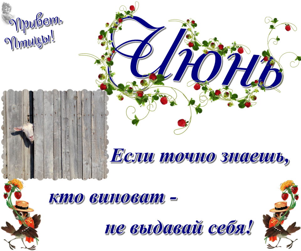 https://i.postimg.cc/jdX03tC0/11-06.png