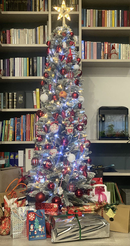 166649F1-CCC8-4156-9554-0754A519477F