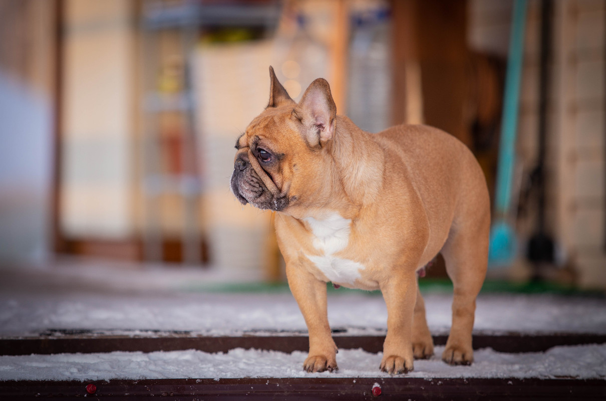 _............... (1 из 1)