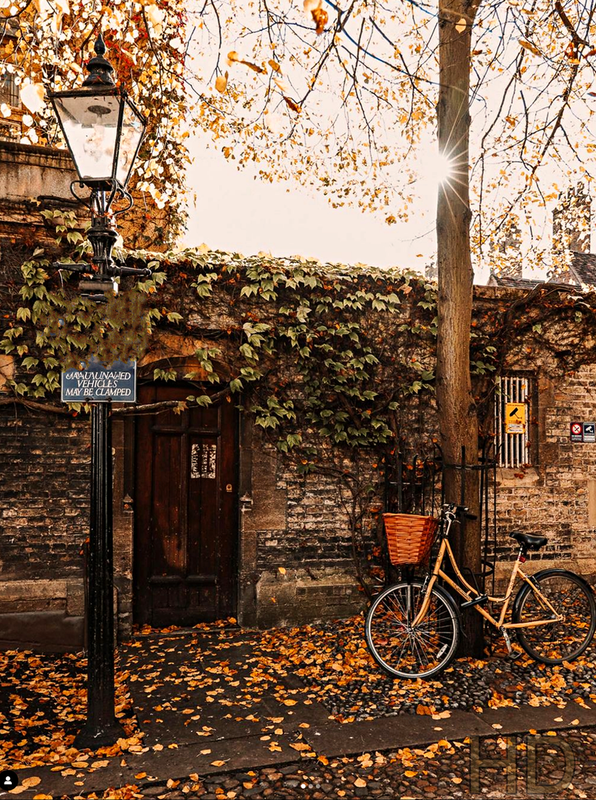 autumn-door-bike-HD.png