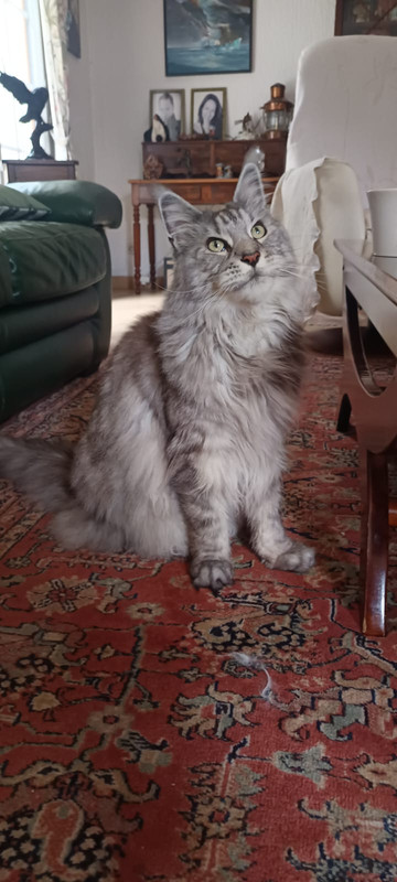 Whats App Image 2026 03 14 at 15 38 43