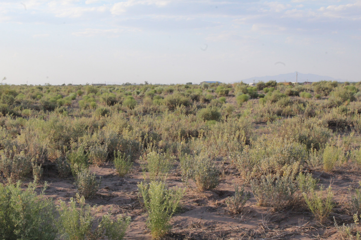 "2 Acres of Serene Beauty with Captivating Florida Mountain Views in Deming, NM!"