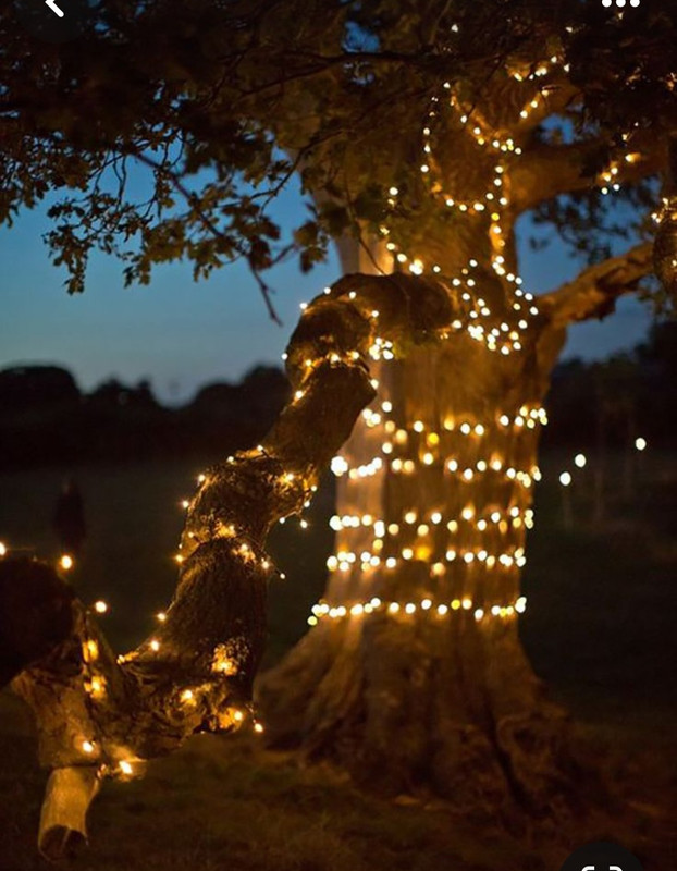 Screenshot_20231113_005437_Pinterest