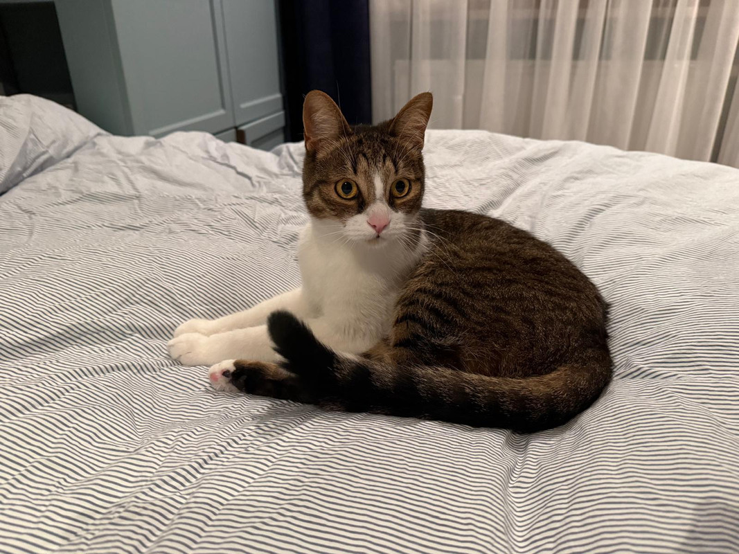 WhatsApp Image 2025-10-22 at 10.23.13 (5)