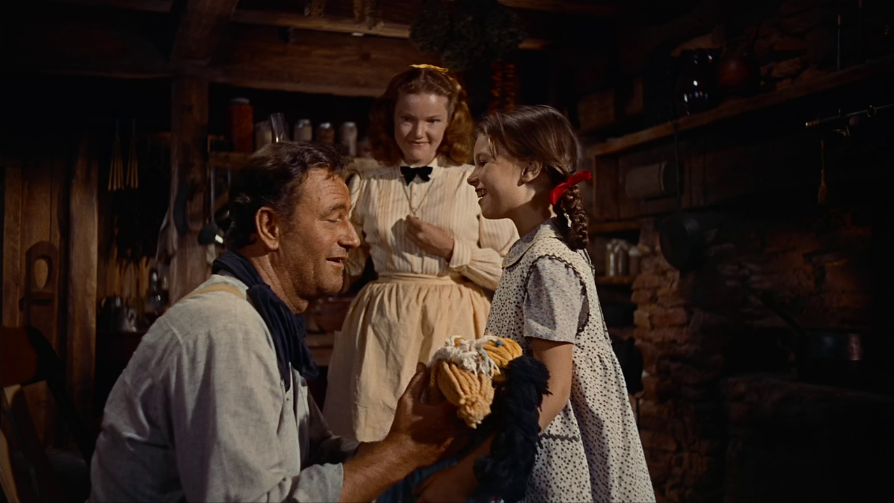 vlcsnap-2022-07-19-20h31m01s499