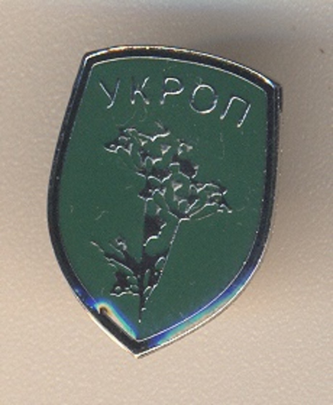 укроп