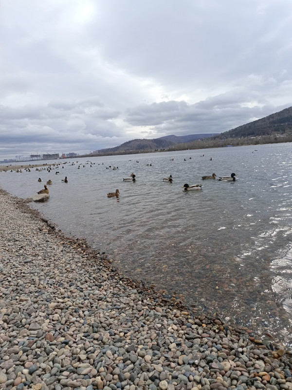 IMG_20240414_101817_666