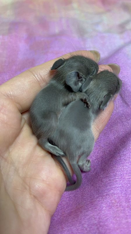 5B7F9670-41BC-4288-A067-098E798F2C25