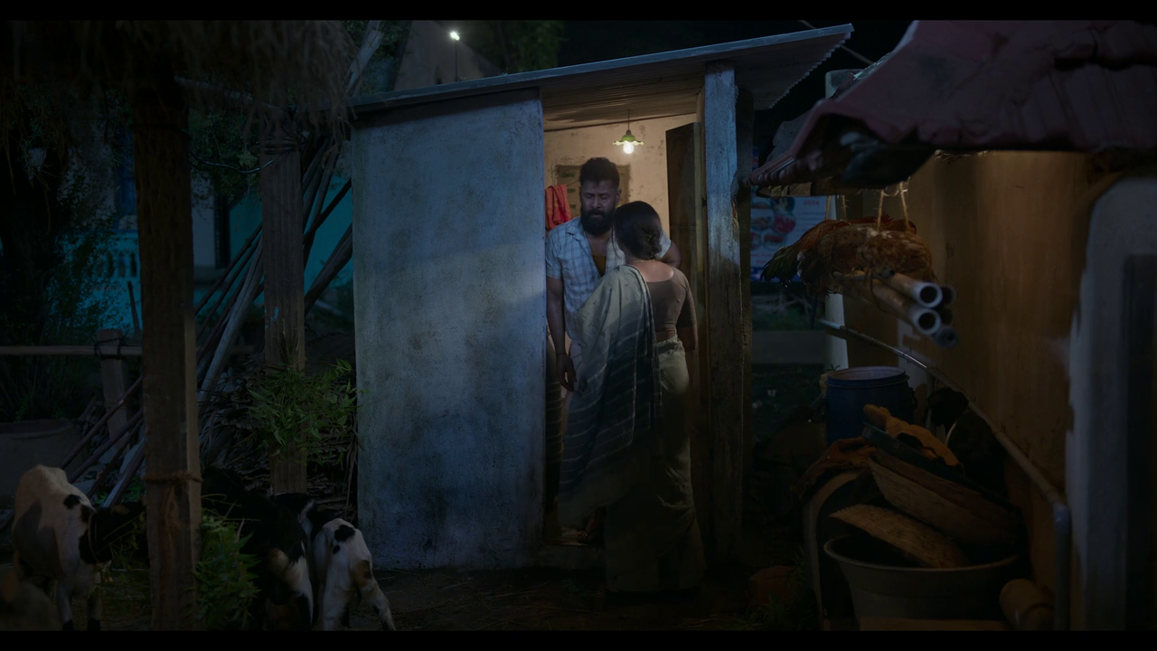 vlcsnap-2025-04-24-21h06m49s035