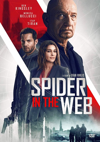 Spider In The Web [2019][DVD R2][Spanish]