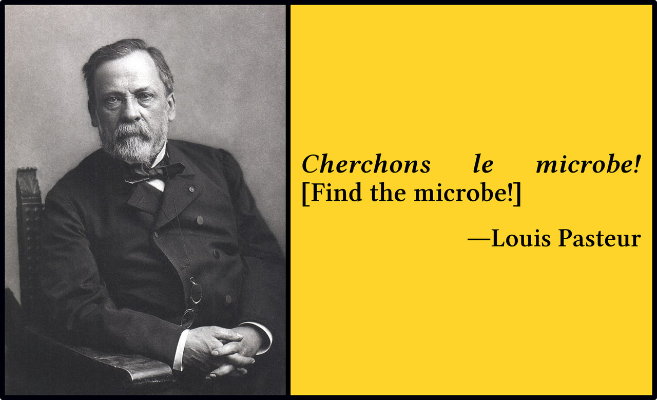 Louis-Pasteur-Quote.jpg