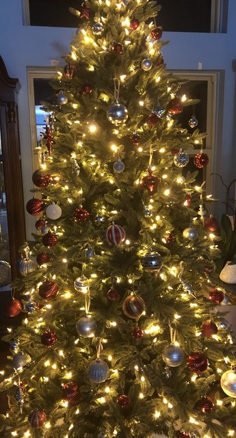 [Image: D3-FA58-AA-10-EA-4262-9-B0-D-08423-F918-B8-C.jpg]