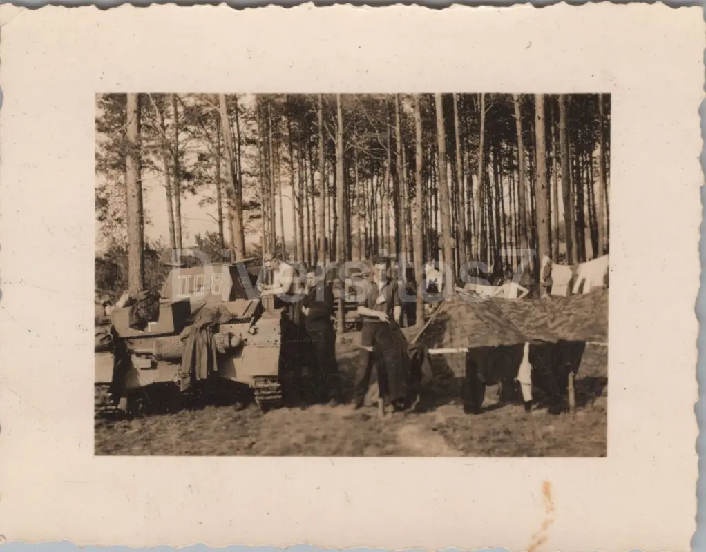 Foto a Nachl. Uffz H Gollner Panzer-Regt. 4, Panzer in Borissow Belarus D-82