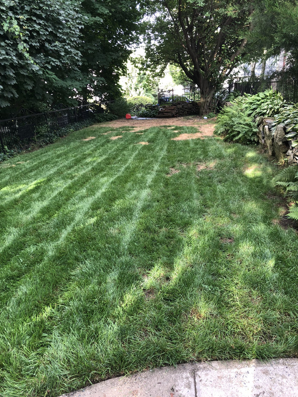 234C8307-73DA-42A6-B2AE-7F421FECD165