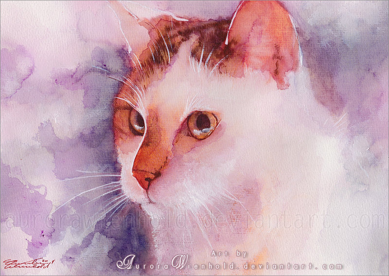 47-soft-fur-by-aurorawienhold-d5sw6ic