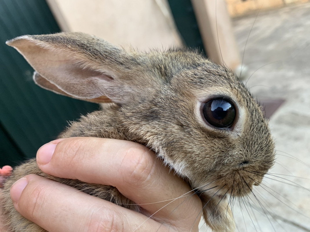 7D84EE54-C54B-4705-A46D-FAC661B46185