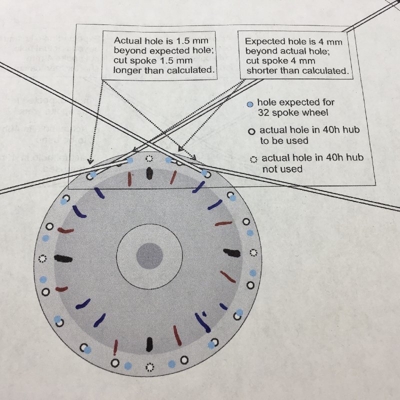 32 hole hub