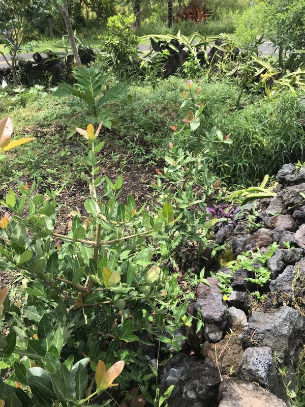 C518A98F-7379-4045-A078-510D8DFD1EBF