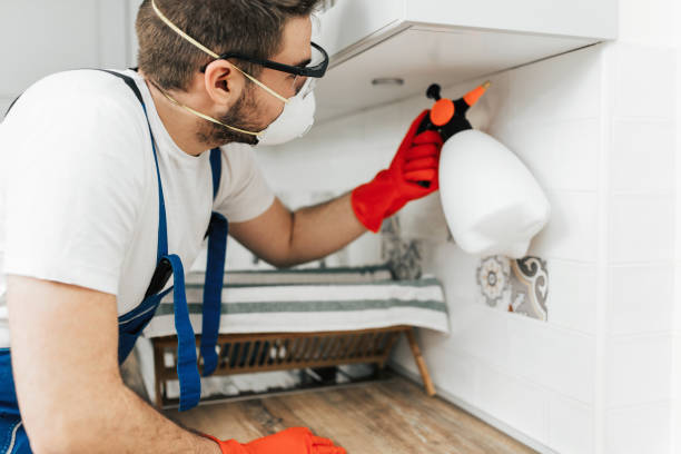 Kissimmee Pest Control