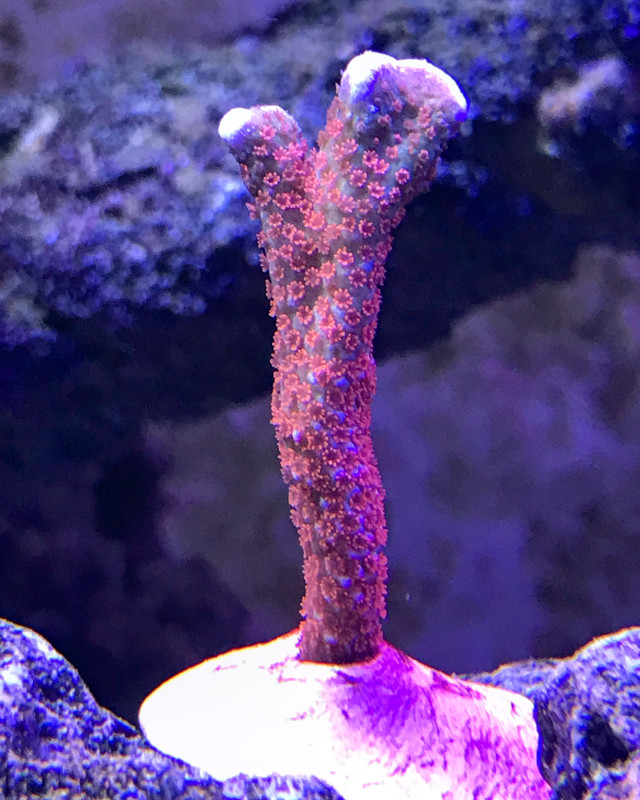 6CCF267C-65E7-4096-8500-5225B712318E