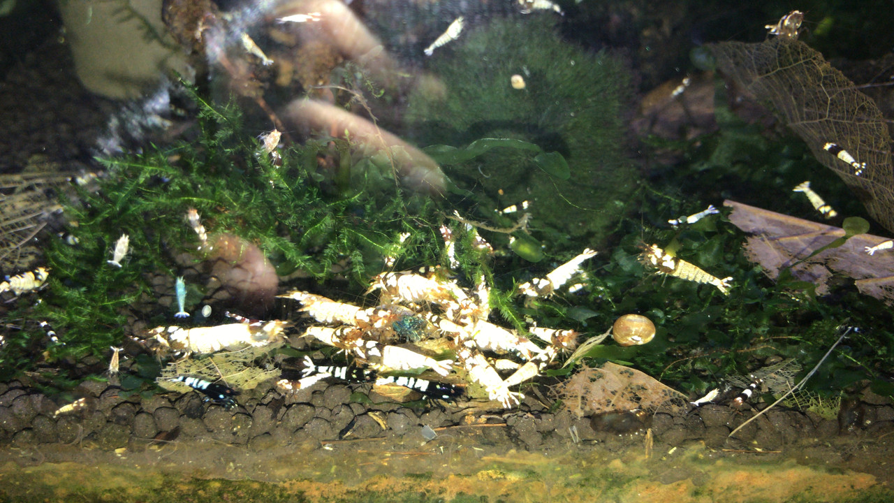 208AC18E-57A9-47B5-9FBE-7921E4492F8C