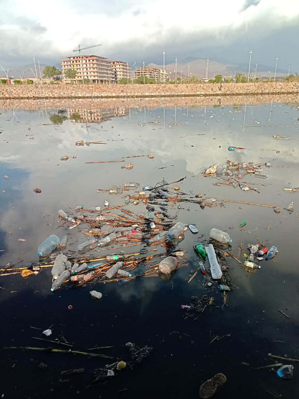 611753891-1548371316368141-5046362543028774666-n