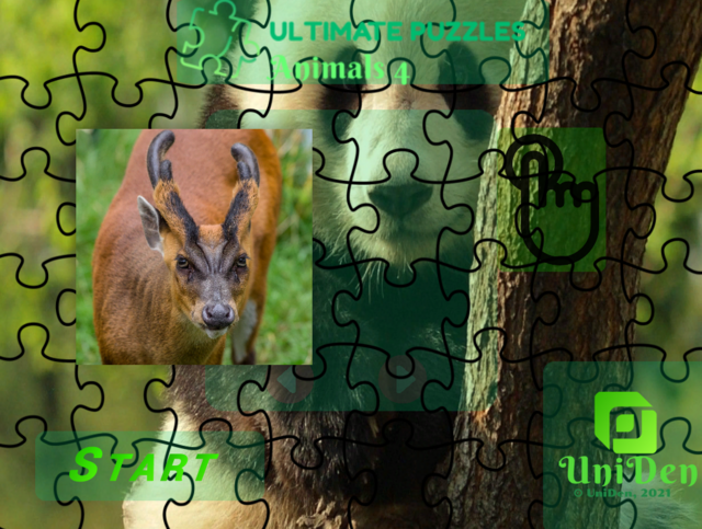 Puzzle-animals-4-005