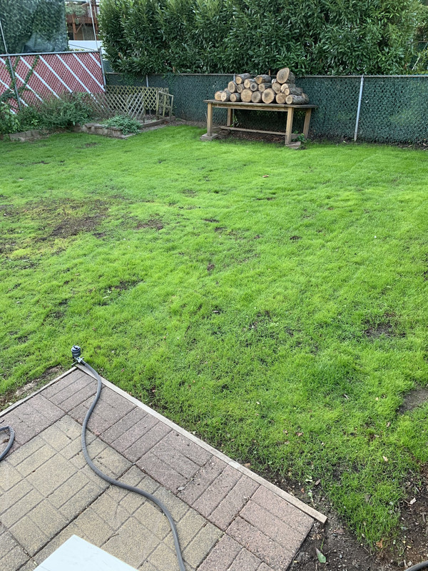 0F8C79AE-A635-496F-B7AF-C6A66D2C5F67