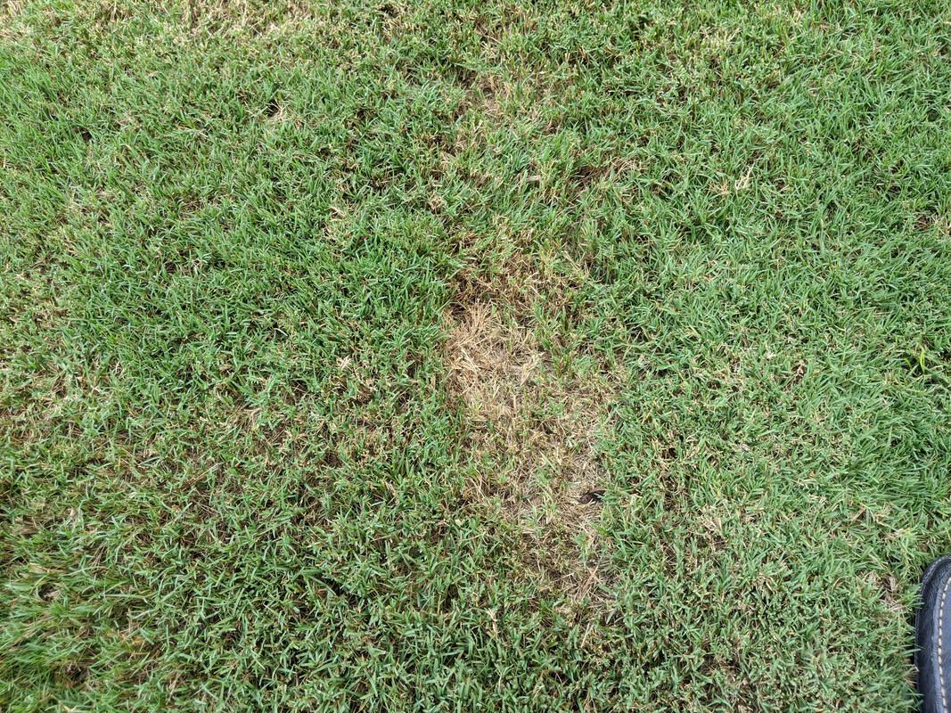 MVIMG_20200729_162339