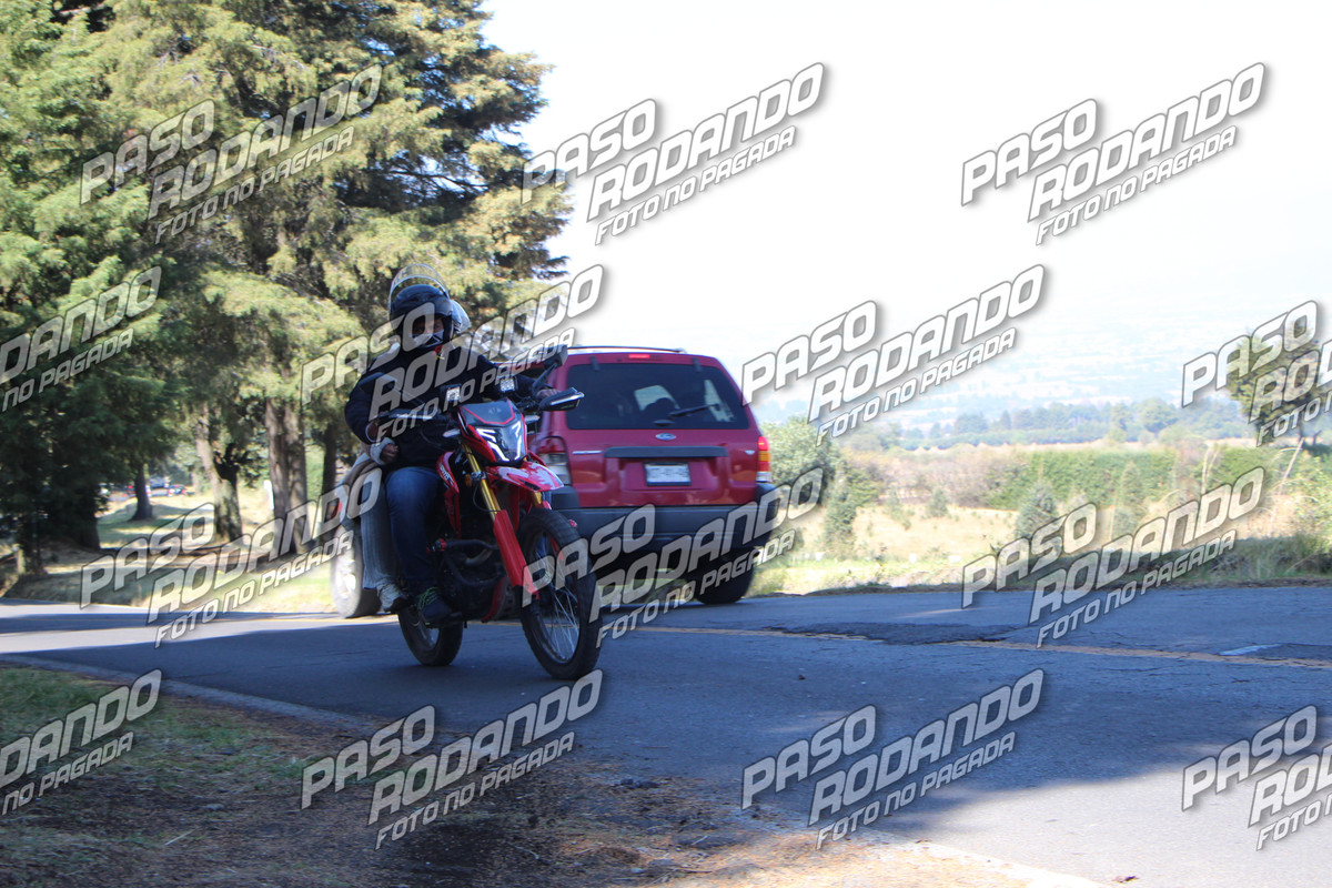 IMG 6641 wm 1787038 3 watermarked — Postimages