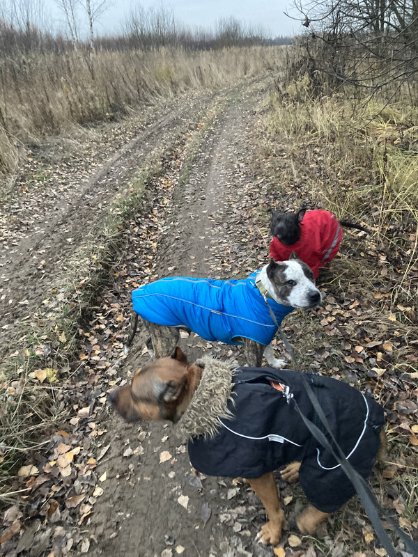 A11CDCF6-F25E-43E7-9502-D36D7E32140B