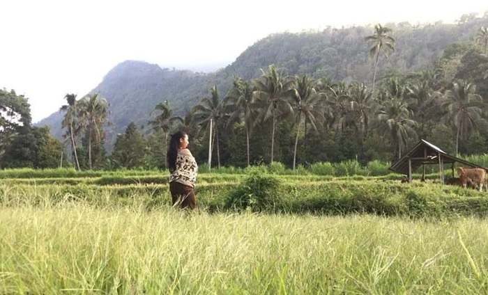 Pengunjungi menikmati keindahan Desa Wisata Sudaji di Sawan, Kabupaten Buleleng, Bali.