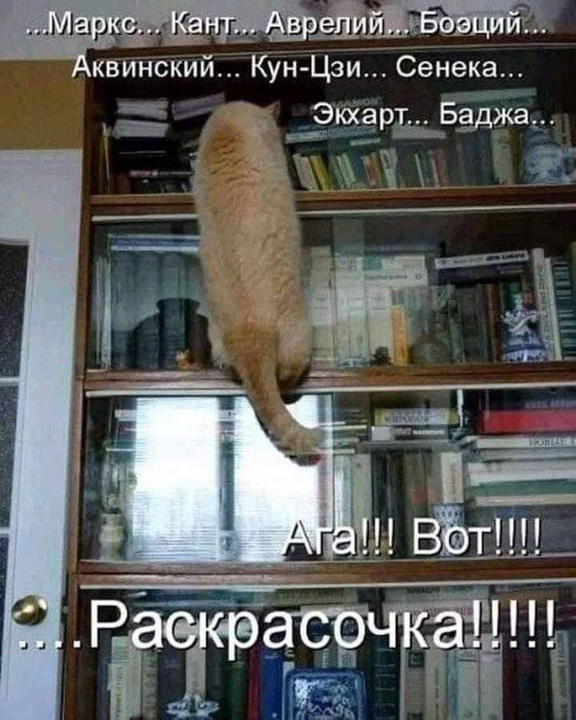 [Изображение: izobrazenie-viber-2026-01-18-13-38-25-893.jpg]