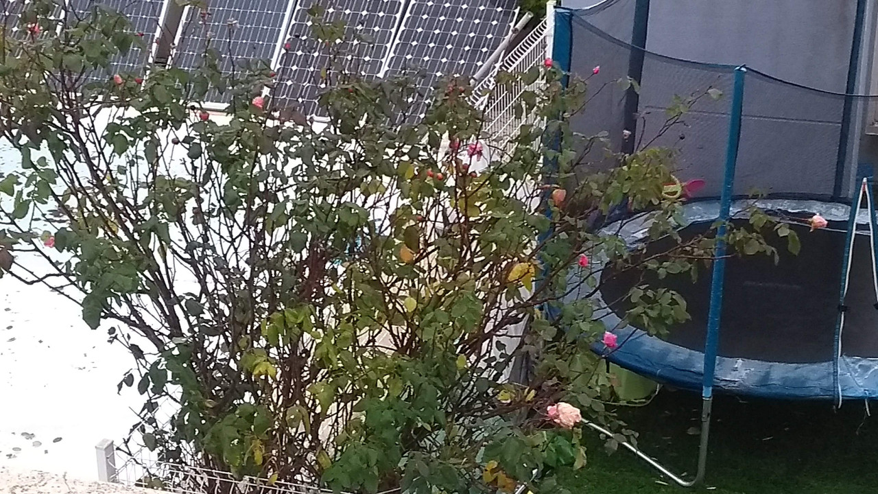 IMG_20191220_170048794 (1)