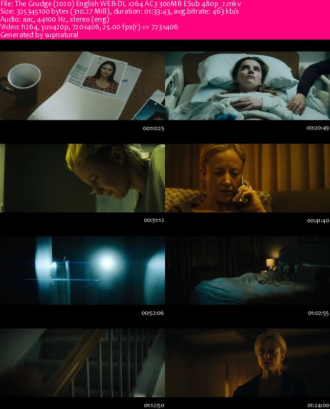The Grudge (2020) English WEB-DL x264 AC3 300MB ESub 480p