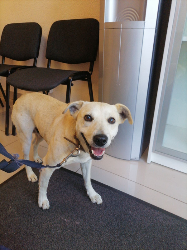 8E2D67DA-DD58-46A8-9E13-B8A9963CA09D