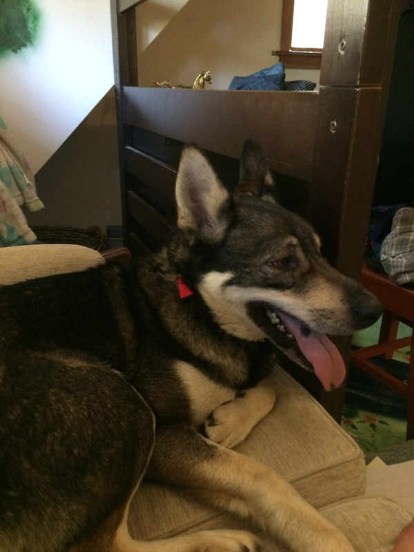 0841A8E8-BCF7-4F76-AA1D-AF4B578E384E