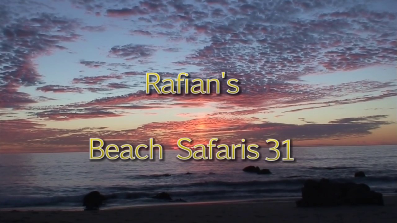 Rafian's Beach Safaris 31HD