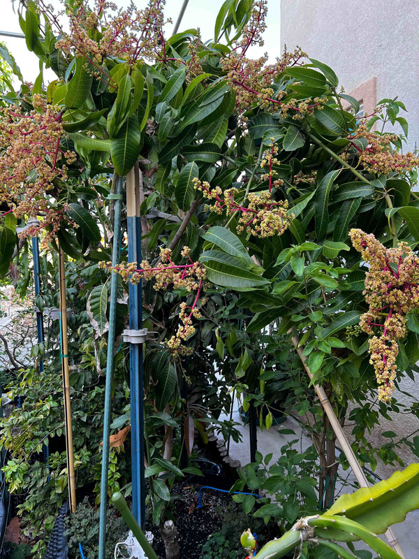 1ED1A902-D15A-452B-AD40-1AE811CA7D91remote6d6c2f44967044ab531232c1e62c8fd571c5f774-1-original