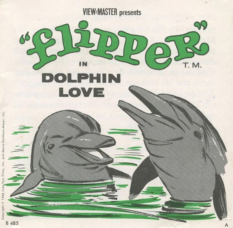 flipper (2)