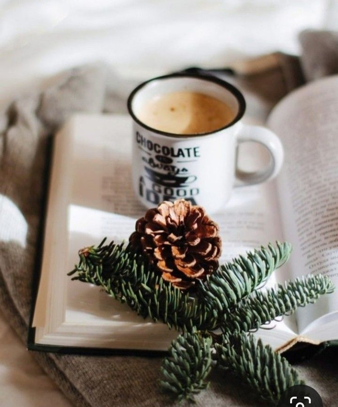 Screenshot_20231120_220856_Pinterest