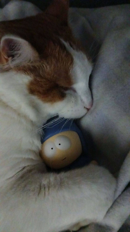 gods drowsiest dreamer