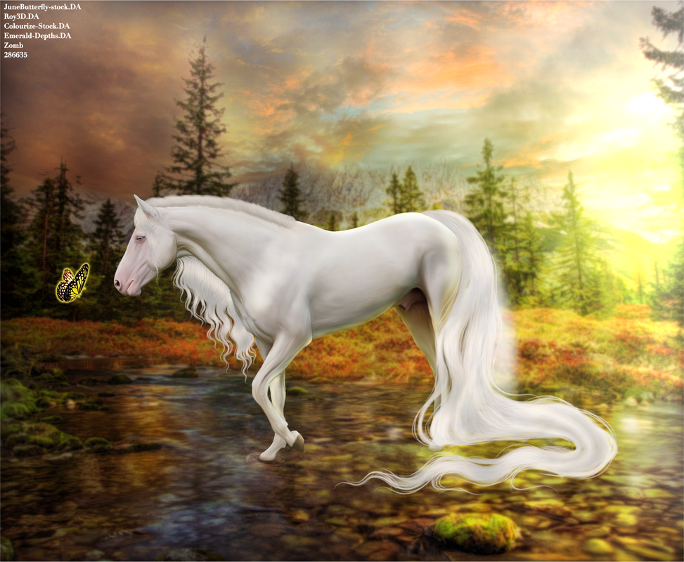 Pond Side Dreamer (Full)_20241001011015