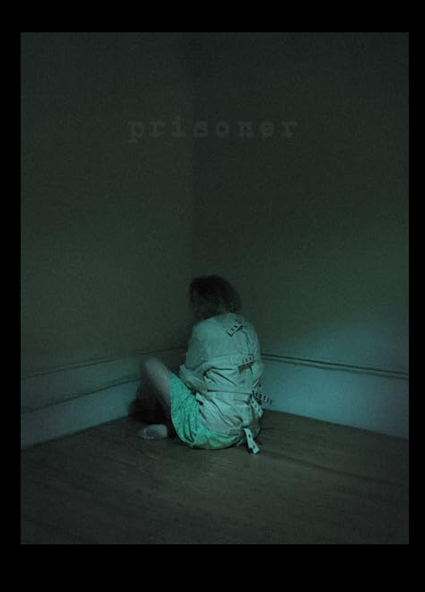 Screenshot 2025-05-28 at 07-50-11 Prisoner (2017)