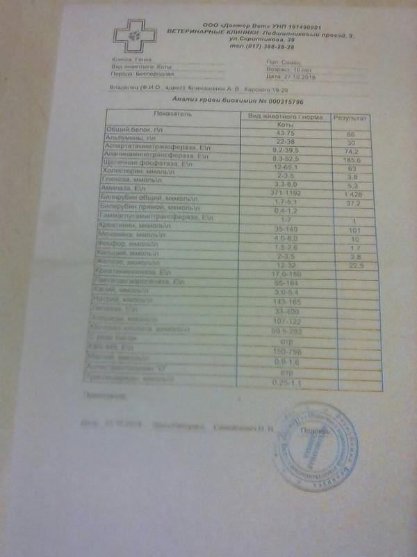 IMG-cd83b0e40b7d61392002e6782788ca4a-V