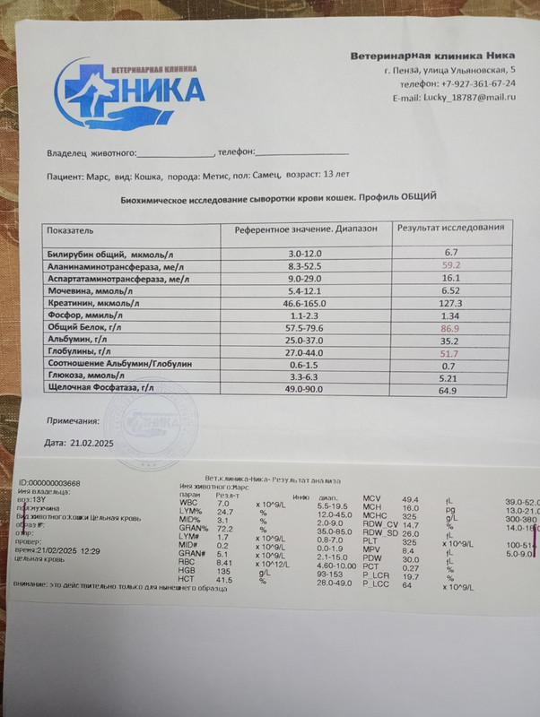 марс анализы 21.02.2025